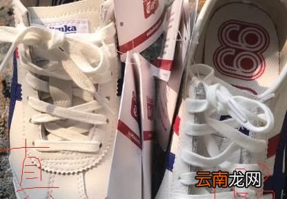 鬼冢虎真假辨别方法、技巧，如何辨别鬼冢虎真假