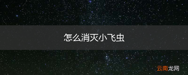 怎么消灭小飞虫