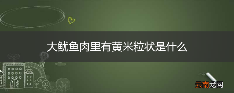 大鱿鱼肉里有黄米粒状是什么