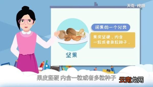 坚果有哪些哪些属于坚果食物
