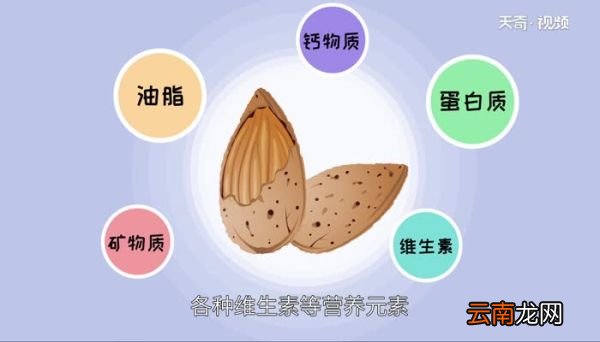 坚果有哪些哪些属于坚果食物