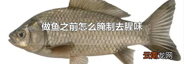 做鱼之前怎么腌制去腥味