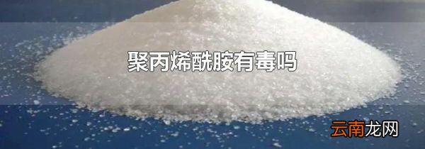 聚丙烯酰胺有毒吗