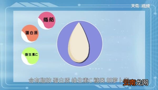白果是什么 白果主产于哪里