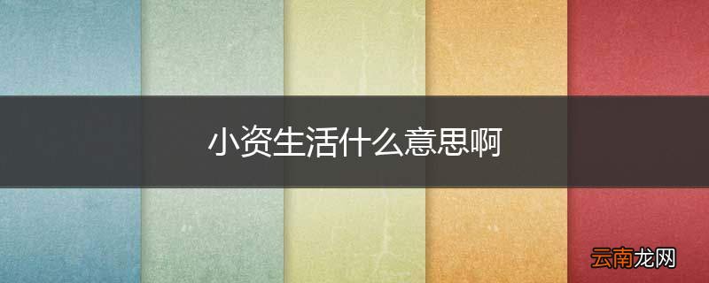 小资生活什么意思啊