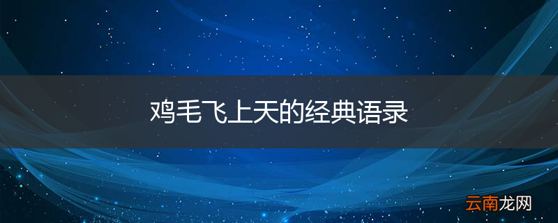 鸡毛飞上天的经典语录