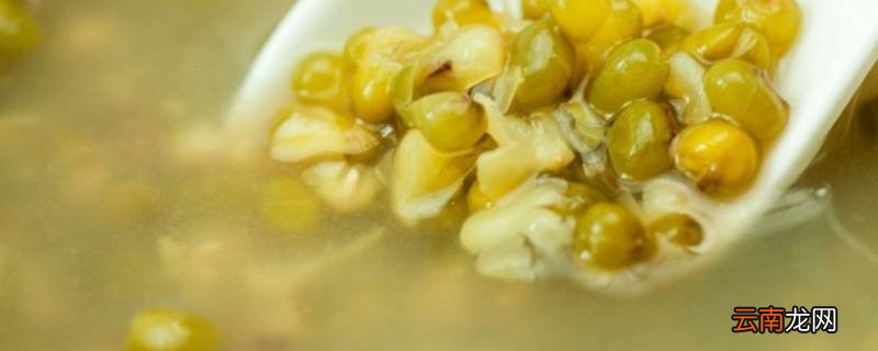 绿豆煮多久能熟