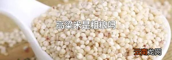 高粱米是粗粮吗