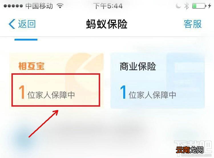 支付宝健康福重疾险怎么退出？