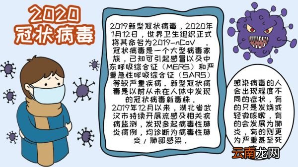 2020冠状病毒手抄报内容简单 2020冠状病毒手抄报内容简单画法
