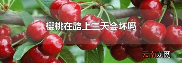 樱桃在路上三天会坏吗