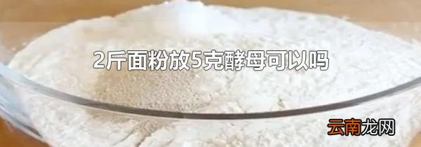 2斤面粉放5克酵母可以吗