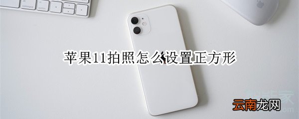 苹果11拍照怎么设置正方形
