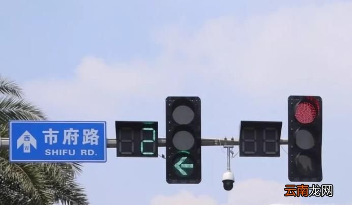 交通信号灯怎么看？怎样避免处罚？