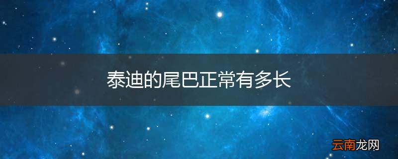 泰迪的尾巴正常有多长