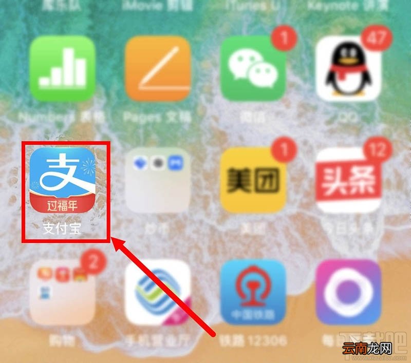 支付宝怎么查看开通花呗时间？