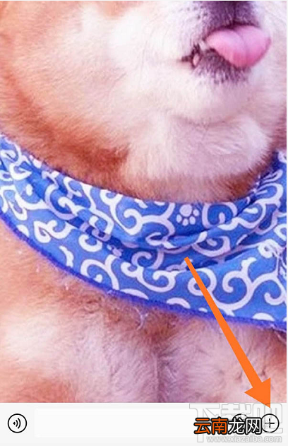 微信红包封面序列号怎么添加?
