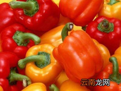 彩椒怎么保存