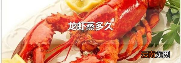 龙虾蒸多久