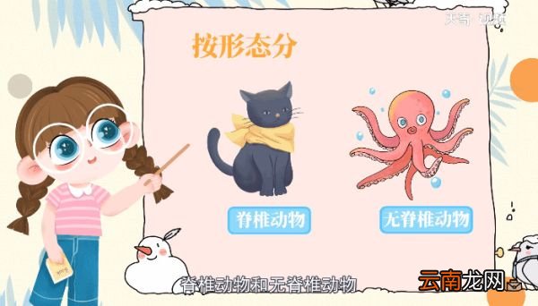 动物分类有哪几大类 动物的分类有哪几大类