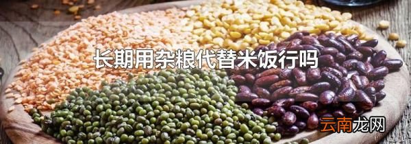长期用杂粮代替米饭行吗