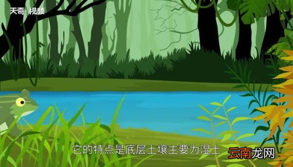全球三大生态系统 全球三大生态系统包括哪些