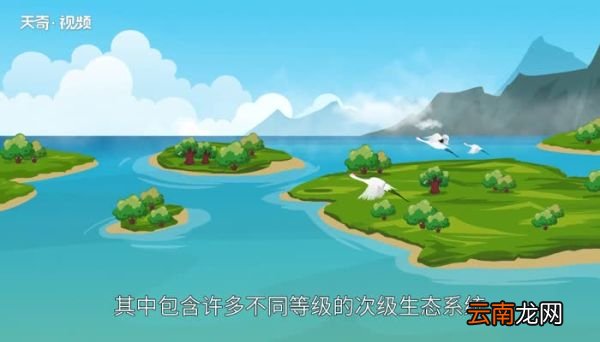 全球三大生态系统 全球三大生态系统包括哪些