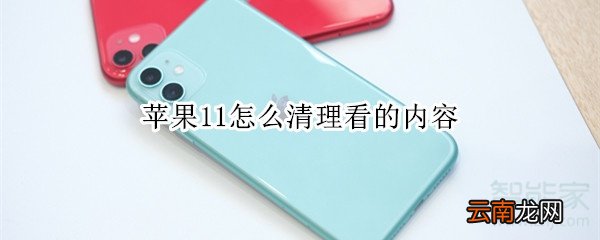 苹果11怎么清理看的内容