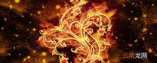 异火榜23种异火介绍 异火榜23种都有哪些