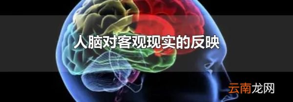 人脑对客观现实的反映