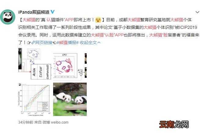 大熊猫认脸功能详情介绍