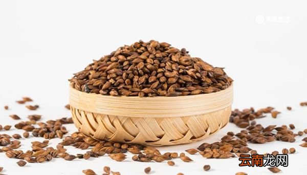 茶叶能冷冻保存吗 茶叶能不能冷冻保存