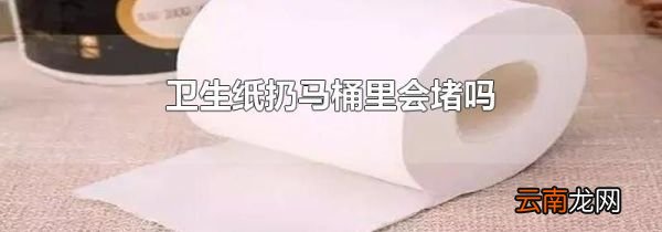 卫生纸扔马桶里会堵吗