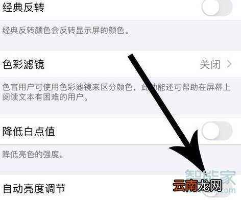苹果11屏幕亮度自动调节怎么关