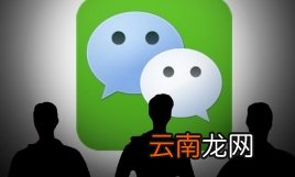 微信智能机器人小微曝光