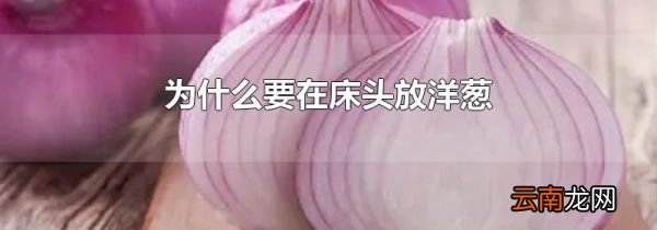 为什么要在床头放洋葱