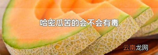 哈密瓜苦的会不会有毒