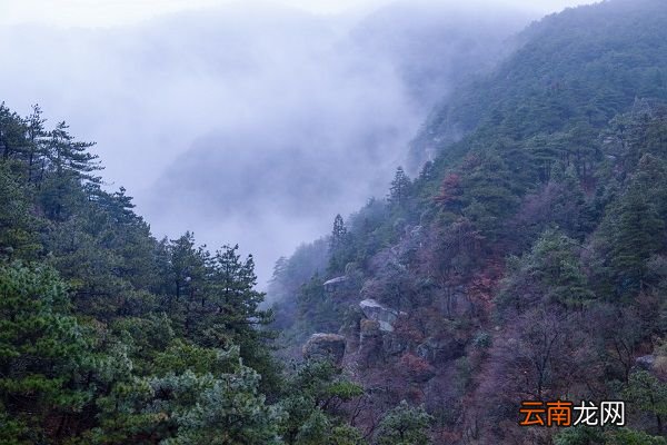望庐山瀑布的诗意 望庐山瀑布全诗意思