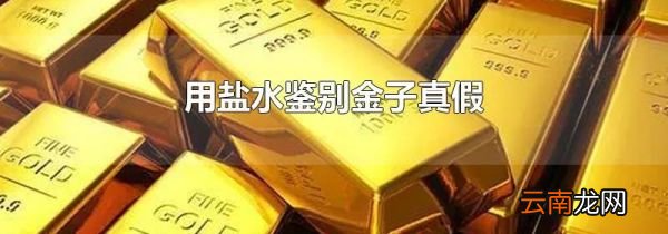 用盐水鉴别金子真假