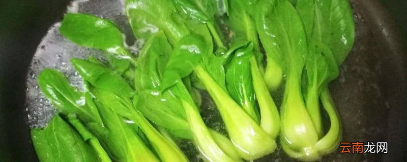 用水焯一下是什么意思