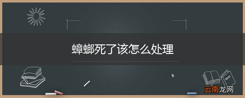 蟑螂死了该怎么处理