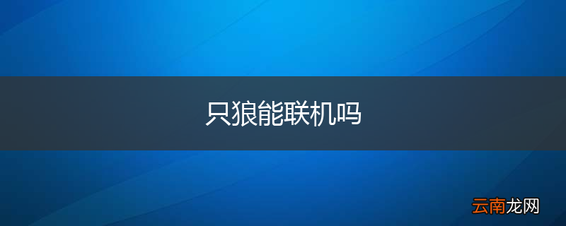 只狼能联机吗