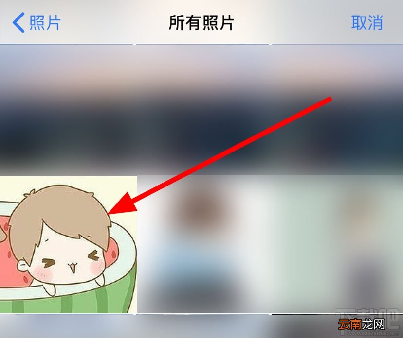 淘票票怎么设置头像？淘票票更换头像的教程