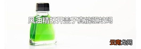 风油精打开盖子真能驱蚊吗