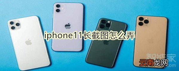iphone11长截图怎么弄