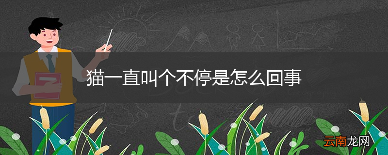 猫一直叫个不停是怎么回事