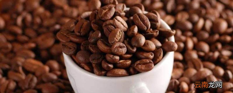 麦当劳的咖啡豆是什么种类