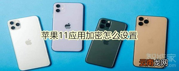 苹果11应用加密怎么设置