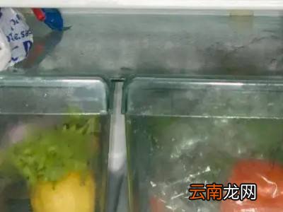 鱼元子怎么保存
