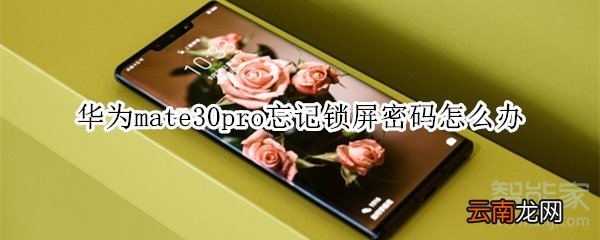 华为mate30pro忘记锁屏密码怎么办